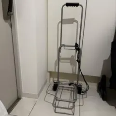 Item thumbnail for item f4371136-fddf-4926-93dc-c6d14ca2078d