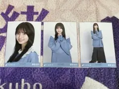 Item thumbnail for item 01bedc2f-4584-4bea-8a14-5fe05e7ccf59