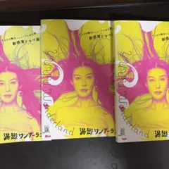 湯遊ワンダーランド　全3巻レンタル落ち DVD ともさかえり