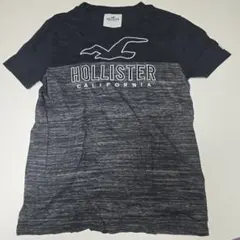 HOLLISTER ホリスター　Tシャツ Lサイズ