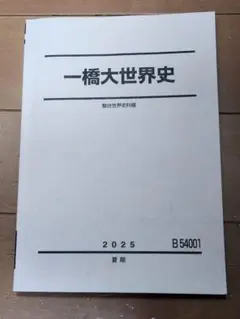 駿台 一橋大世界史 夏期講習教材 2025年