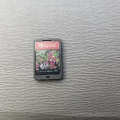 スプラトゥーン2 Nintendo Switch ゲームソフト