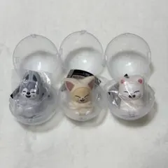 SKZOO ライトマスコット ウルフチャン ジニレット フォクシニー