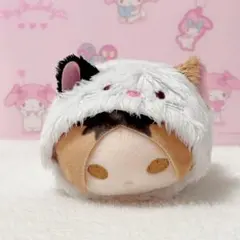 ハイキュー!! のるキャラマスコット 孤爪研磨　ミケ猫のコスチューム付き