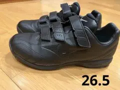 Item thumbnail for item 62281806-ed93-45d0-b7d6-f14e2bd2371b