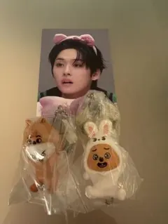 2026年最新】ハンクウォッカの人気アイテム - メルカリ