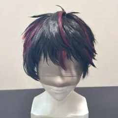 酒寄颯馬 ウィッグ コスプレ にじさんじ