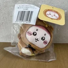 たぬきだもんくじ C賞 古本屋