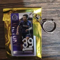 Item thumbnail for item 1ecaf619-2e55-4b09-ae8c-2a4750377586