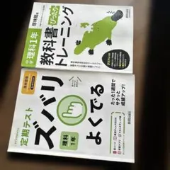 Item thumbnail for item 8e9c583d-b84e-4a62-9427-e2c00c695dec