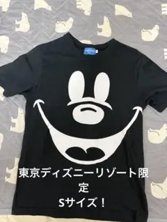 激レアSサイズ！東京ディズニーリゾート限定ミニーマウスビッグフェイスTシャツ黒