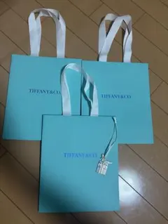 Tiffany ニューヨーク本店限定 紙袋とチャーム2個セット - メルカリ