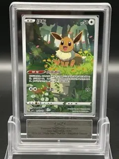 2026年最新】イーブイ ARSの人気アイテム - メルカリ