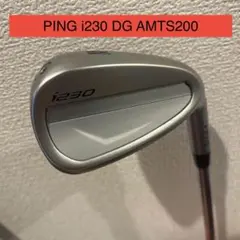 i230 アイアンセット ダイナミックゴールドAMT S200のサムネイル