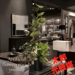 光触媒　人工観葉植物　ウォールグリーン　フェイクグリーン　シーグレープトラカンgのサムネイル