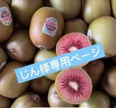 じん様専用ページ