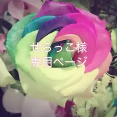 せらっこ様　専用ページ