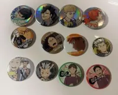 ハイキュー!! 缶バッジセット