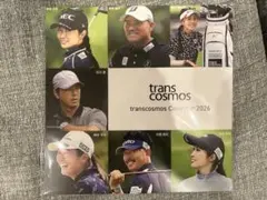 Item thumbnail for item 55a68d23-2e5a-4150-88dc-289d18fa1393