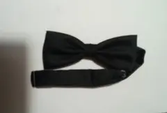 Item thumbnail for item f65a8912-a99d-4571-8f8d-2791ee8d0996