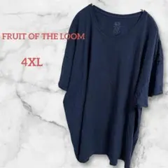 【超希少4XL】フルーツオブザルーム 紺 Tシャツ 無地 ビッグシルエット