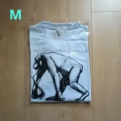 Item thumbnail for item 04685690-2a07-4e15-ae0a-13dfe8c8e087