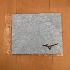 MIZUNO ミズノ セームタオル ライトブルー