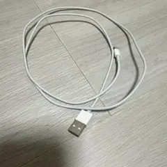 iPhone 14 ケーブル