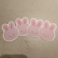 StrayKids 本国 ペンミ リービット コンフェッティ 落下物
