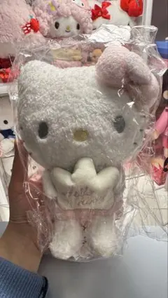 絶版　23年製　ハローキティ　フワフワ　パステルボア蓄光　ぬいぐるみ 2026年最新】フワフワパステルボア蓄光の人気アイテム - メルカリ