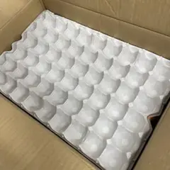 Item thumbnail for item 31d73c78-281b-4aa1-a39b-eeff45c6622d