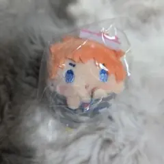 ヒプノシスマイク 毒島メイソン理鶯 もちころりん まめころりん - メルカリ