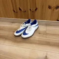 Nike フットサルシューズ 室内用　(25.5)