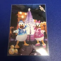 ディズニー　スペシャルフォト　スペフォ　ドナルド　デイジー　2016 クリスマス