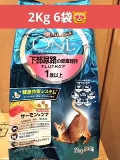 Item thumbnail for item 59ea03de-eb7f-44c6-8995-99c16a1f2971