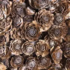 シダローズ　サイズ色々　80個　オマケ付き