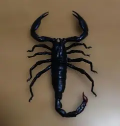 Item thumbnail for item dbb09cb1-ccf5-4011-9194-c95c9d2aa4fc