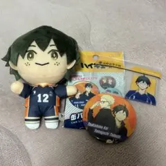 ハイキュー 山口忠