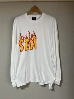 古着 THRASHER WINDANDSEA コラボ ロンT ストリートのサムネイル