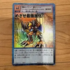 デジタルモンスター　カードゲーム　めざせ最強進化！
