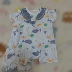 シシュノン 70cmのサムネイル