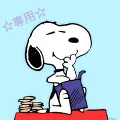 てんちゃんさま専用♪