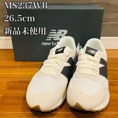 Item thumbnail for item 5e594d46-3b26-4d1b-b521-60b45652f620