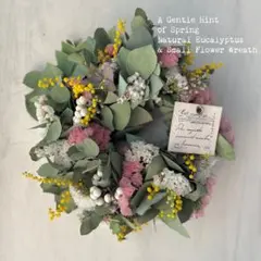 hami.863様専用＊淡い春の気配　ユーカリと小花のリース ＊№862