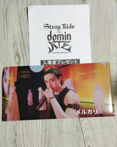 Stray Kidsバンチャン　映画 The dominATE 第3弾入場特典