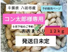 Ｓ&Ｂ　千葉県　八街産　掘りたて　おおまさり　生落花生　4Kg S&B様専用 千葉県 八街産 掘りたて おおまさり 生落花生 4Kg - メルカリ
