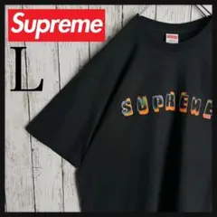 【激渋 美品 】 シュプリーム 希少 即完売 Tシャツ 入手困難品