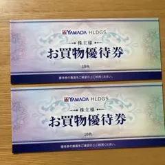ヤマダ電機　ヤマダホールディングス お買物優待券 500円券 20枚