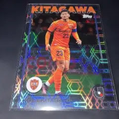 Item thumbnail for item ffce0001-99b2-42ba-addc-dfb90cd655a5