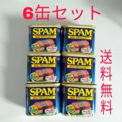 스팸 스팸 저감 소금 340g ✕ 6캔 세트